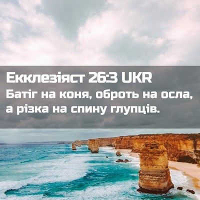 Picture 02 - Екклезіяст 26:3 UKR - Батіг на коня, оброть на - Bible Verse Picture