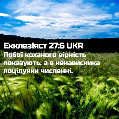 Picture 02 - Екклезіяст 27:6 UKR - Побої коханого вірність - Bible Verse Picture