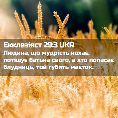 Picture 02 - Екклезіяст 29:3 UKR - Людина, що мудрість кохає, - Bible Verse Picture