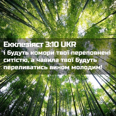 Picture 02 - Екклезіяст 3:10 UKR - і будуть комори твої - Bible Verse Picture
