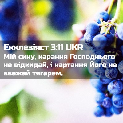 Picture 02 - Екклезіяст 3:11 UKR - Мій сину, карання - Bible Verse Picture
