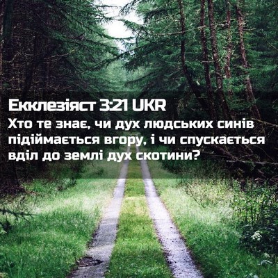 Picture 02 - Екклезіяст 3:21 UKR - Хто те знає, чи дух - Bible Verse Picture