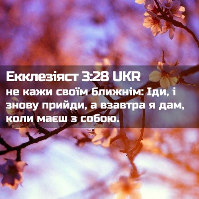 Picture 02 - Екклезіяст 3:28 UKR - не кажи своїм ближнім: Іди, - Bible Verse Picture