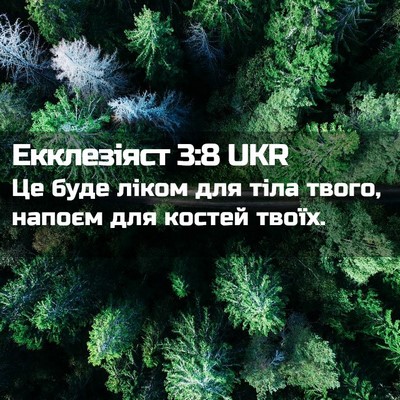 Picture 02 - Екклезіяст 3:8 UKR - Це буде ліком для тіла - Bible Verse Picture
