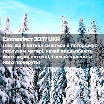 Picture 02 - Екклезіяст 30:17 UKR - Око, що з батька сміється й - Bible Verse Picture