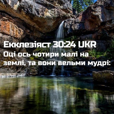 Picture 02 - Екклезіяст 30:24 UKR - Оці ось чотири малі на - Bible Verse Picture