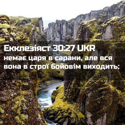 Picture 02 - Екклезіяст 30:27 UKR - немає царя в сарани, але - Bible Verse Picture