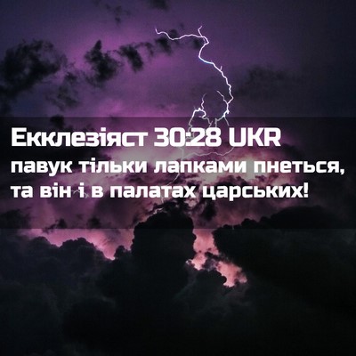 Picture 02 - Екклезіяст 30:28 UKR - павук тільки лапками - Bible Verse Picture