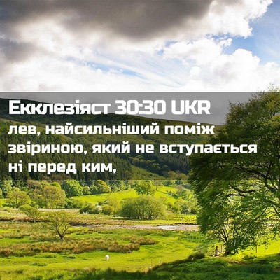 Picture 02 - Екклезіяст 30:30 UKR - лев, найсильніший поміж - Bible Verse Picture