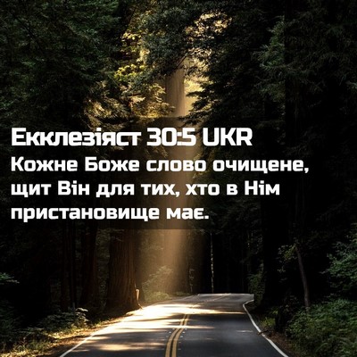 Picture 02 - Екклезіяст 30:5 UKR - Кожне Боже слово очищене, - Bible Verse Picture
