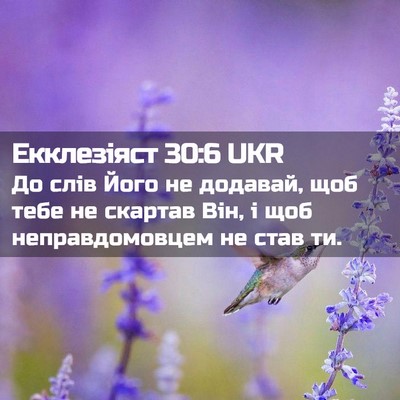 Picture 02 - Екклезіяст 30:6 UKR - До слів Його не додавай, - Bible Verse Picture