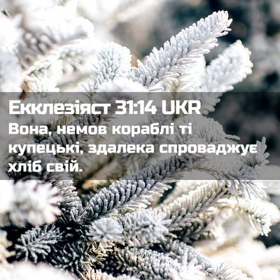 Picture 02 - Екклезіяст 31:14 UKR - Вона, немов кораблі ті - Bible Verse Picture