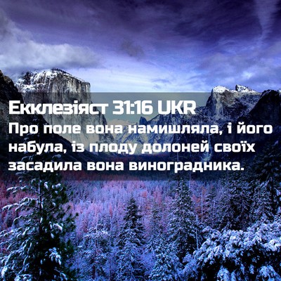 Picture 02 - Екклезіяст 31:16 UKR - Про поле вона намишляла, і - Bible Verse Picture