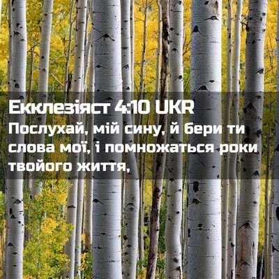 Picture 02 - Екклезіяст 4:10 UKR - Послухай, мій сину, й бери - Bible Verse Picture