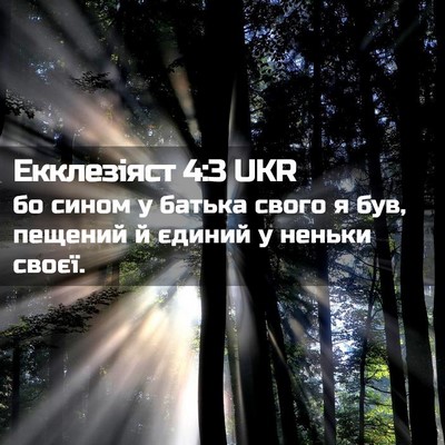Picture 02 - Екклезіяст 4:3 UKR - бо сином у батька свого я - Bible Verse Picture