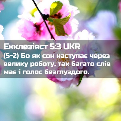 Picture 02 - Екклезіяст 5:3 UKR - (5-2) Бо як сон наступає - Bible Verse Picture