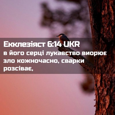Picture 02 - Екклезіяст 6:14 UKR - в його серці лукавство - Bible Verse Picture