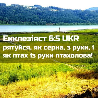 Picture 02 - Екклезіяст 6:5 UKR - рятуйся, як серна, з руки, і - Bible Verse Picture