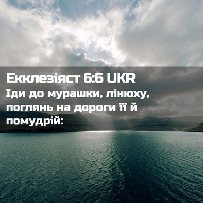 Picture 02 - Екклезіяст 6:6 UKR - Іди до мурашки, лінюху, - Bible Verse Picture