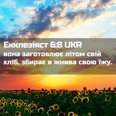 Picture 02 - Екклезіяст 6:8 UKR - вона заготовлює літом свій - Bible Verse Picture