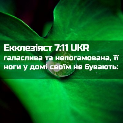 Picture 02 - Екклезіяст 7:11 UKR - галаслива та непогамована, - Bible Verse Picture