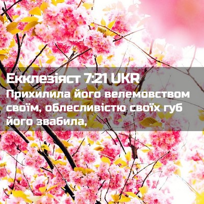 Picture 02 - Екклезіяст 7:21 UKR - Прихилила його - Bible Verse Picture