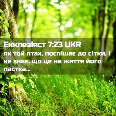 Picture 02 - Екклезіяст 7:23 UKR - як той птах, поспішає до - Bible Verse Picture