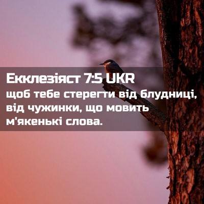 Picture 02 - Екклезіяст 7:5 UKR - щоб тебе стерегти від - Bible Verse Picture