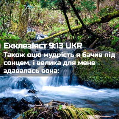 Picture 02 - Екклезіяст 9:13 UKR - Також оцю мудрість я бачив - Bible Verse Picture