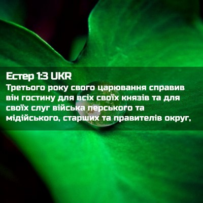 Picture 02 - Естер 1:3 UKR - Третього року свого - Bible Verse Picture