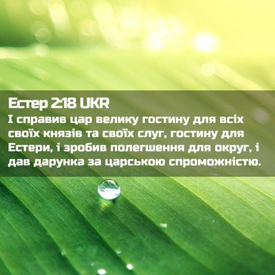 Picture 02 - Естер 2:18 UKR - І справив цар велику - Bible Verse Picture