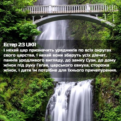 Picture 02 - Естер 2:3 UKR - і нехай цар призначить - Bible Verse Picture