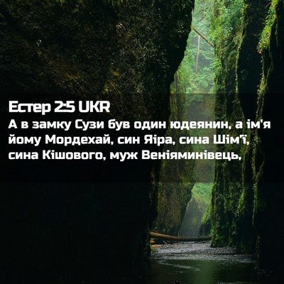Picture 02 - Естер 2:5 UKR - А в замку Сузи був один - Bible Verse Picture