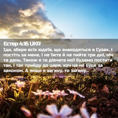 Picture 02 - Естер 4:16 UKR - Іди, збери всіх юдеїв, що - Bible Verse Picture