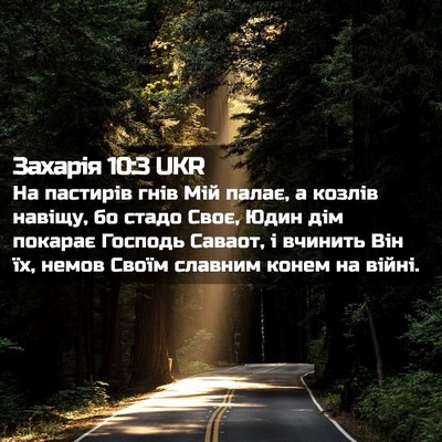 Picture 02 - Захарія 10:3 UKR - На пастирів гнів Мій палає, - Bible Verse Picture