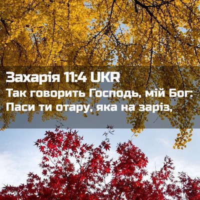 Picture 02 - Захарія 11:4 UKR - Так говорить Господь, мій - Bible Verse Picture