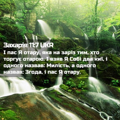 Picture 02 - Захарія 11:7 UKR - І пас Я отару, яка на заріз - Bible Verse Picture