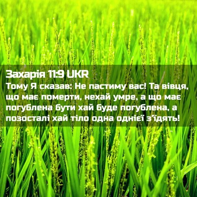 Picture 02 - Захарія 11:9 UKR - Тому Я сказав: Не пастиму - Bible Verse Picture