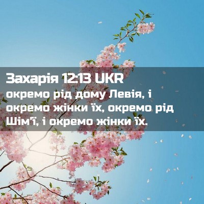Picture 02 - Захарія 12:13 UKR - окремо рід дому Левія, і - Bible Verse Picture