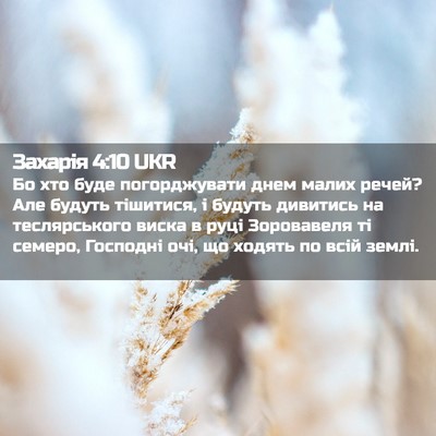 Picture 02 - Захарія 4:10 UKR - Бо хто буде погорджувати - Bible Verse Picture