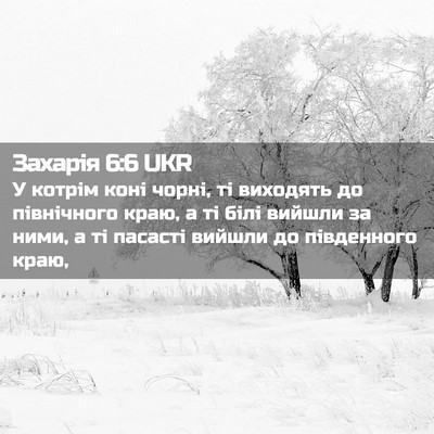 Picture 02 - Захарія 6:6 UKR - У котрім коні чорні, ті - Bible Verse Picture