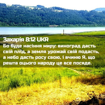 Picture 02 - Захарія 8:12 UKR - Бо буде насіння миру: - Bible Verse Picture