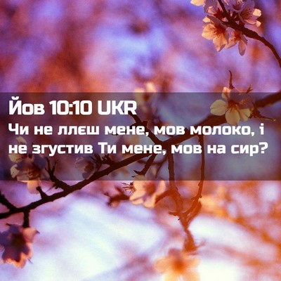 Picture 02 - Йов 10:10 UKR - Чи не ллєш мене, мов молоко, - Bible Verse Picture