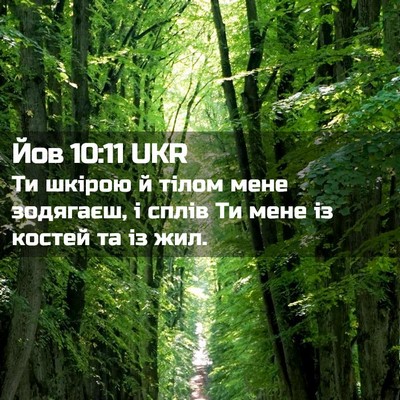 Picture 02 - Йов 10:11 UKR - Ти шкірою й тілом мене - Bible Verse Picture