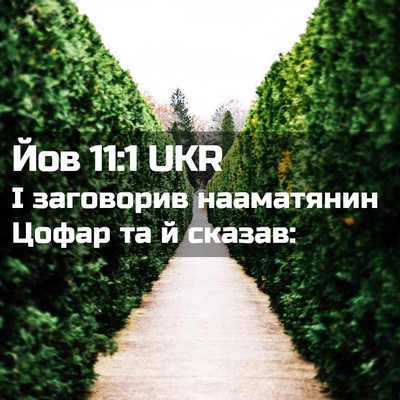 Picture 02 - Йов 11:1 UKR - І заговорив нааматянин - Bible Verse Picture