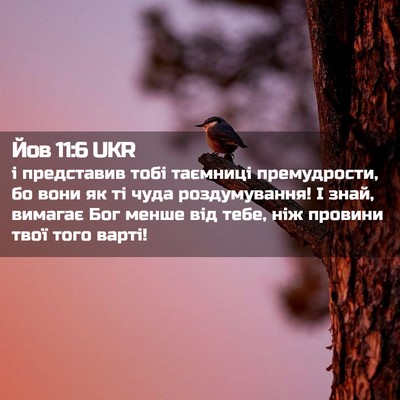 Picture 02 - Йов 11:6 UKR - і представив тобі таємниці - Bible Verse Picture