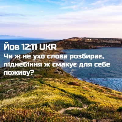 Picture 02 - Йов 12:11 UKR - Чи ж не ухо слова розбирає, - Bible Verse Picture