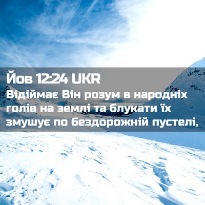 Picture 02 - Йов 12:24 UKR - Відіймає Він розум в - Bible Verse Picture