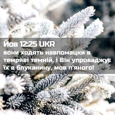 Picture 02 - Йов 12:25 UKR - вони ходять навпомацки в - Bible Verse Picture