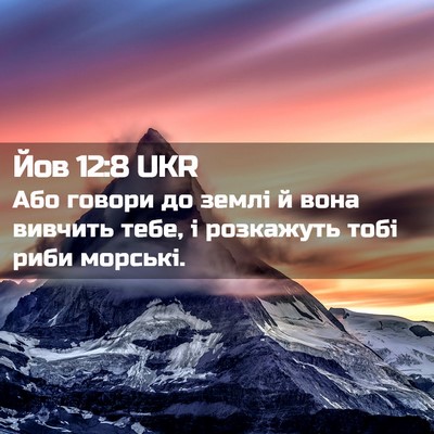 Picture 02 - Йов 12:8 UKR - Або говори до землі й вона - Bible Verse Picture